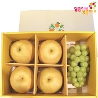 [달콤이네상콤이네] 명품 설 사과선물세트 4.5kg 내외(12과)