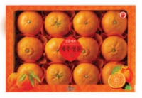 [DAMG 내부구매]제주과일 혼합세트 3호