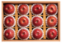 [DAMG 내부구매]장수사과 실속 특선 3호