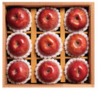 [DAMG 내부구매] 장수사과 실속 특선 4호