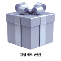 [랜덤박스] 강철세트 1만원